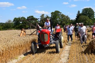 Żniwa u Państwa Krasnodębskich_Toczystki Czortki_16.08.2020